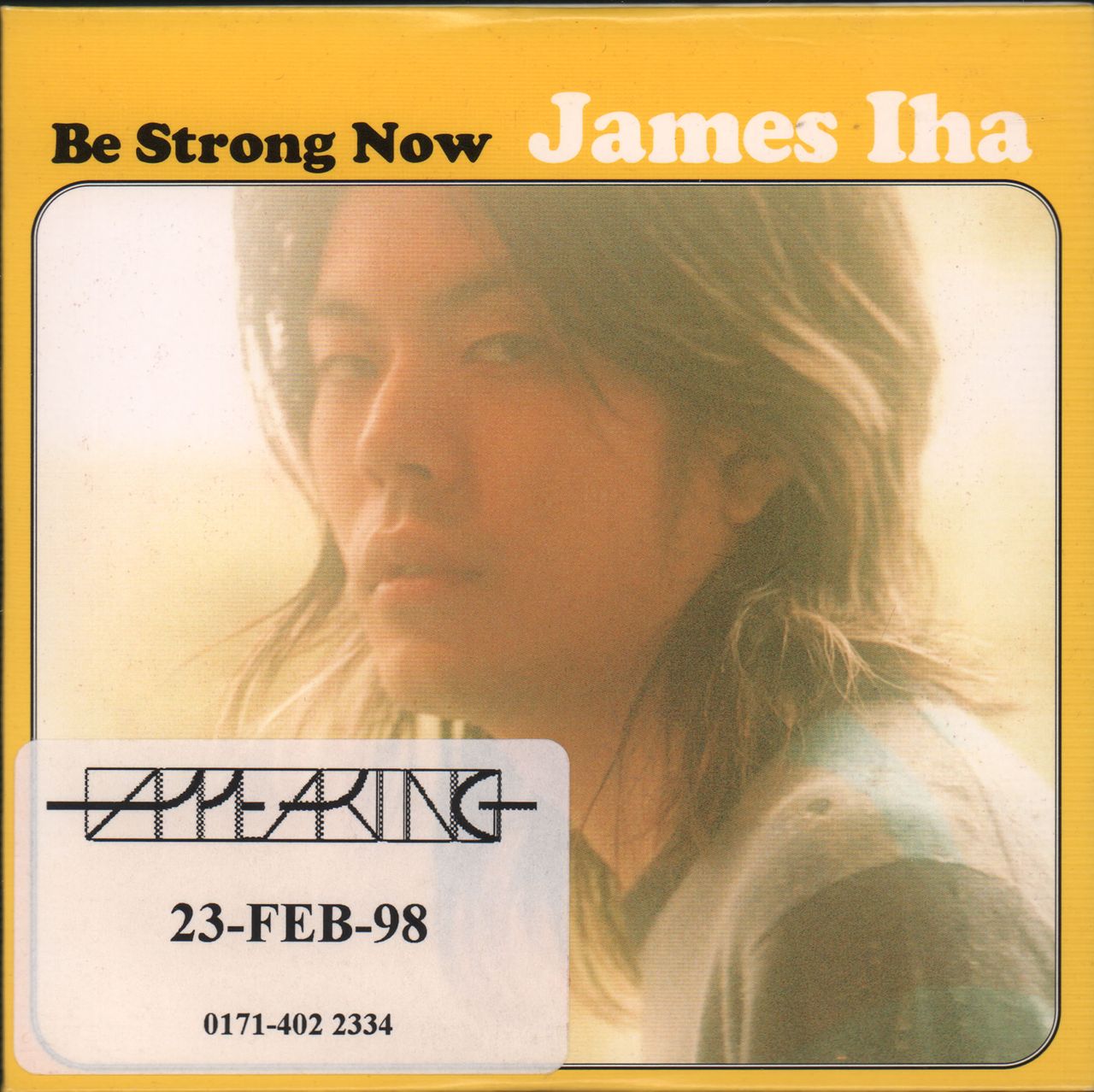 未使用LP James Iha Let It Come Down ジェームスイハ - 洋楽