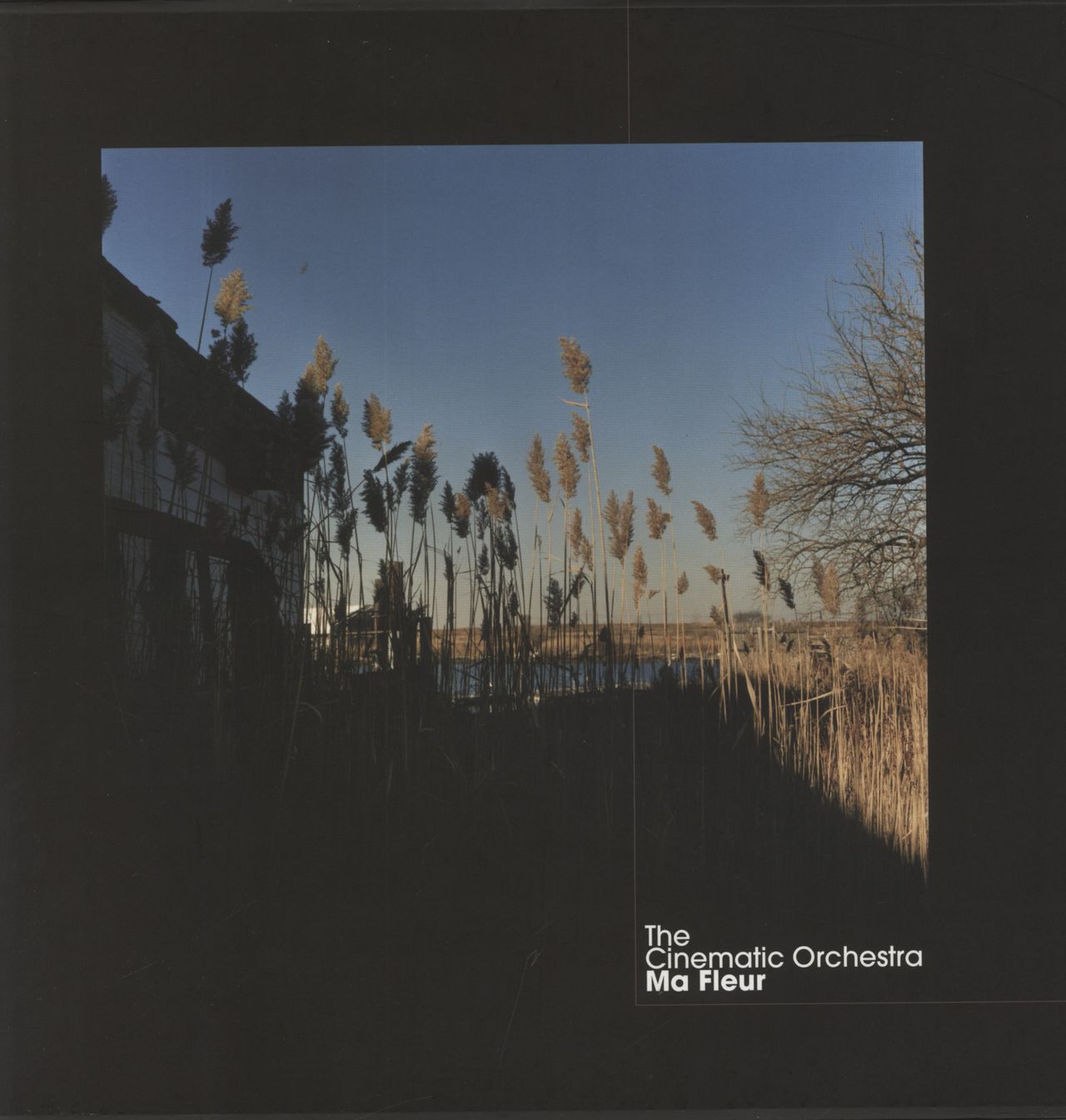 The Cinematic Orchestra Ma Fleur - 180gm UK Vinyl box set