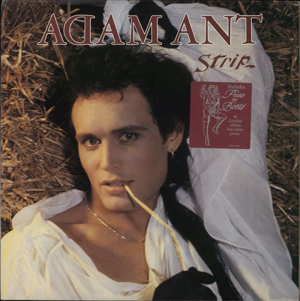 Adam Ant Strip + Poster - EX UK vinyl LP album (LP record) CBS25705