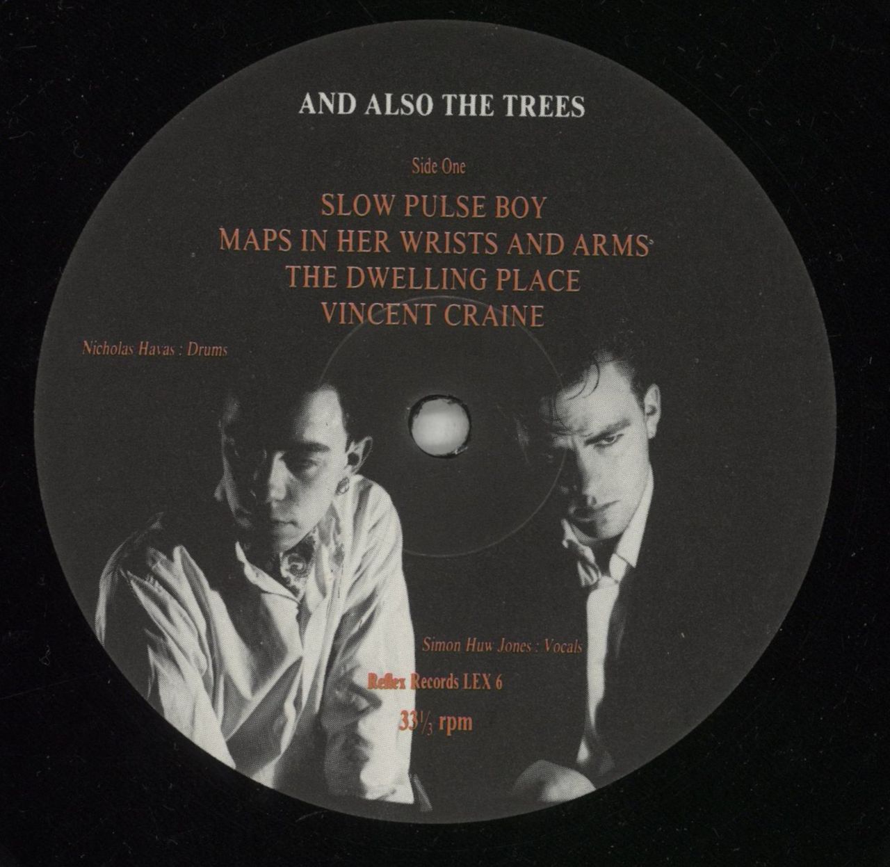 AND ALSO THE TREES VIRUS MEADOW レコード LP Virus Meadow - Reissue - LP — And Also The Trees