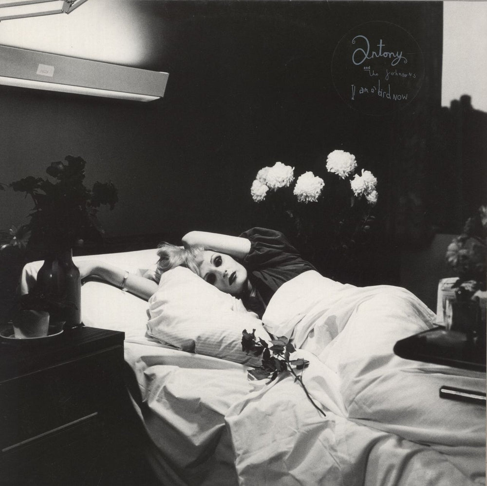 Anohni & The Johnsons I Am A Bird Now UK vinyl LP album (LP record) RTRADLP223