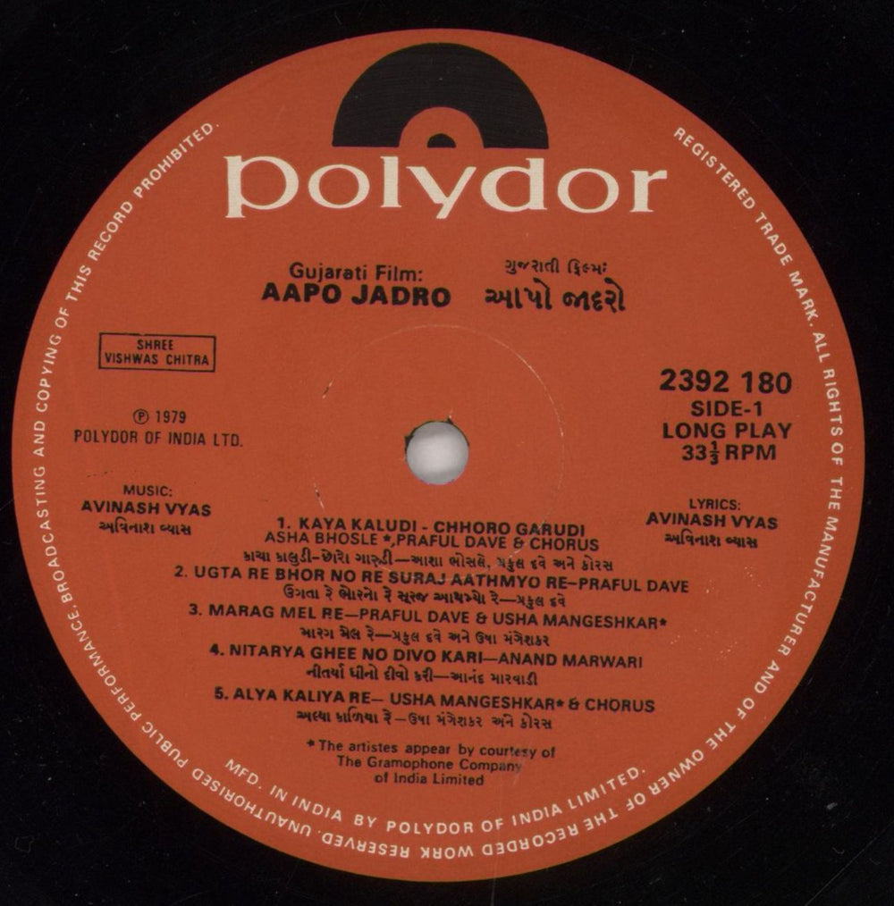 Avinash Vyas Aapo Jadro Indian vinyl LP album (LP record) 40MLPAA848858