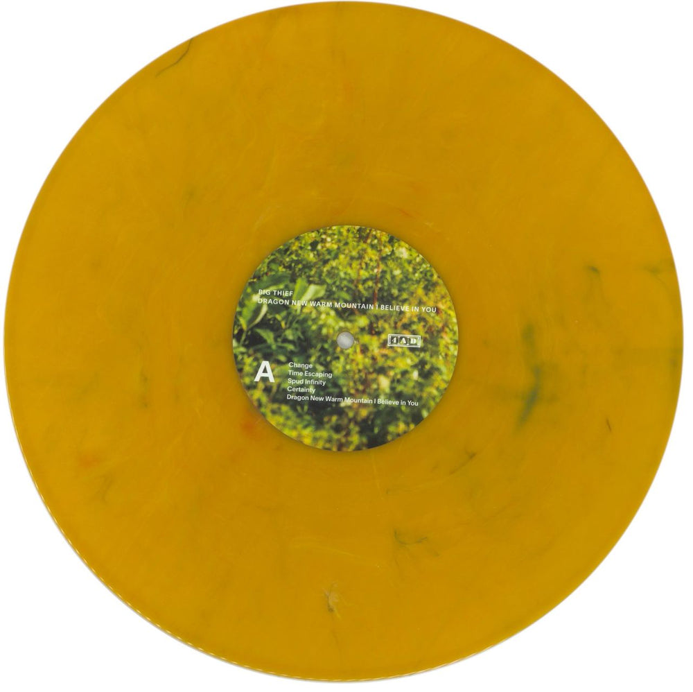 Big Thief Dragon New Warm Mountain I Believe In You - Randomly Coloured Eco Vinyl UK 2-LP vinyl record set (Double LP Album) 49H2LDR865133
