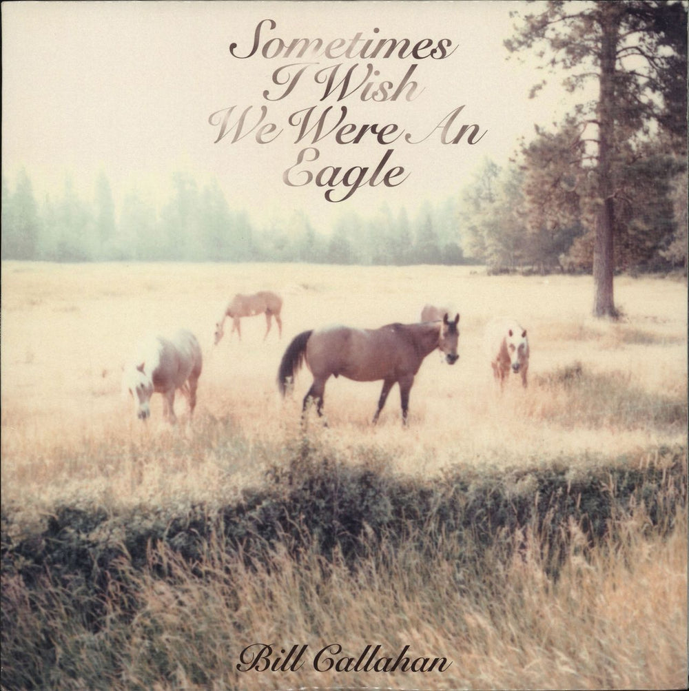 Bill Callahan Sometimes I Wish We Were An Eagle US vinyl LP album (LP record) DC385