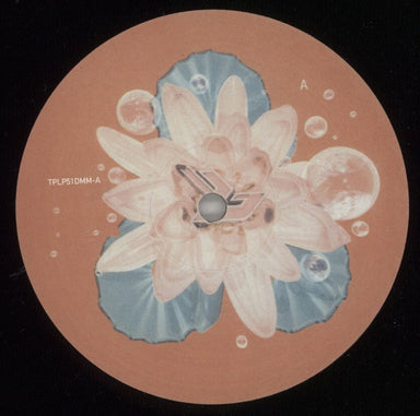 Björk Post UK 2-LP vinyl record set (Double LP Album) BJK2LPO437164