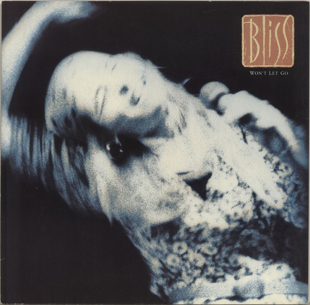 Bliss Won't Let Go UK 12" vinyl single (12 inch record / Maxi-single) 12R6216