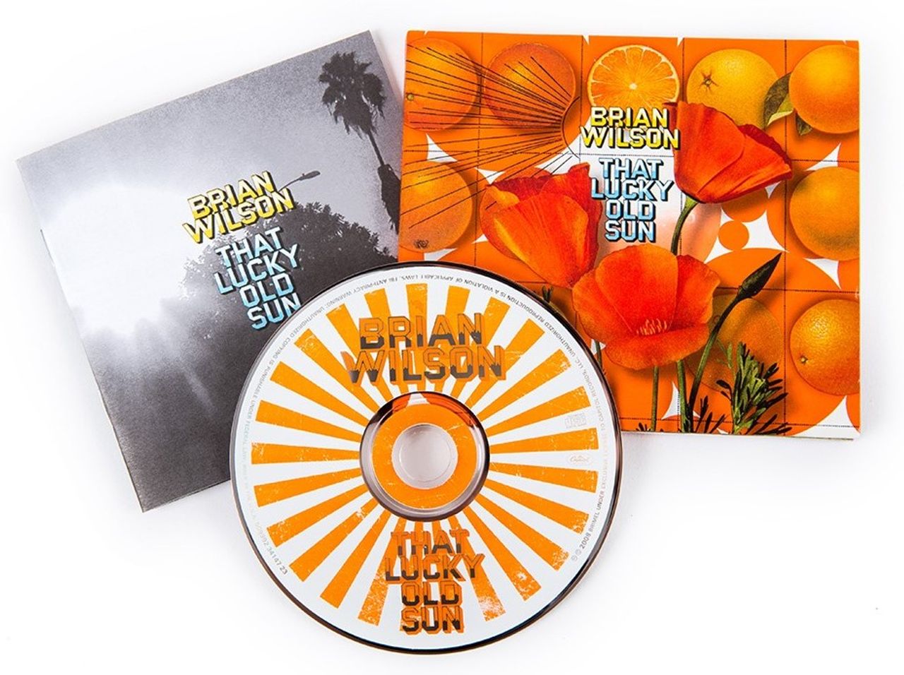 brian-wilson-that-lucky-old-