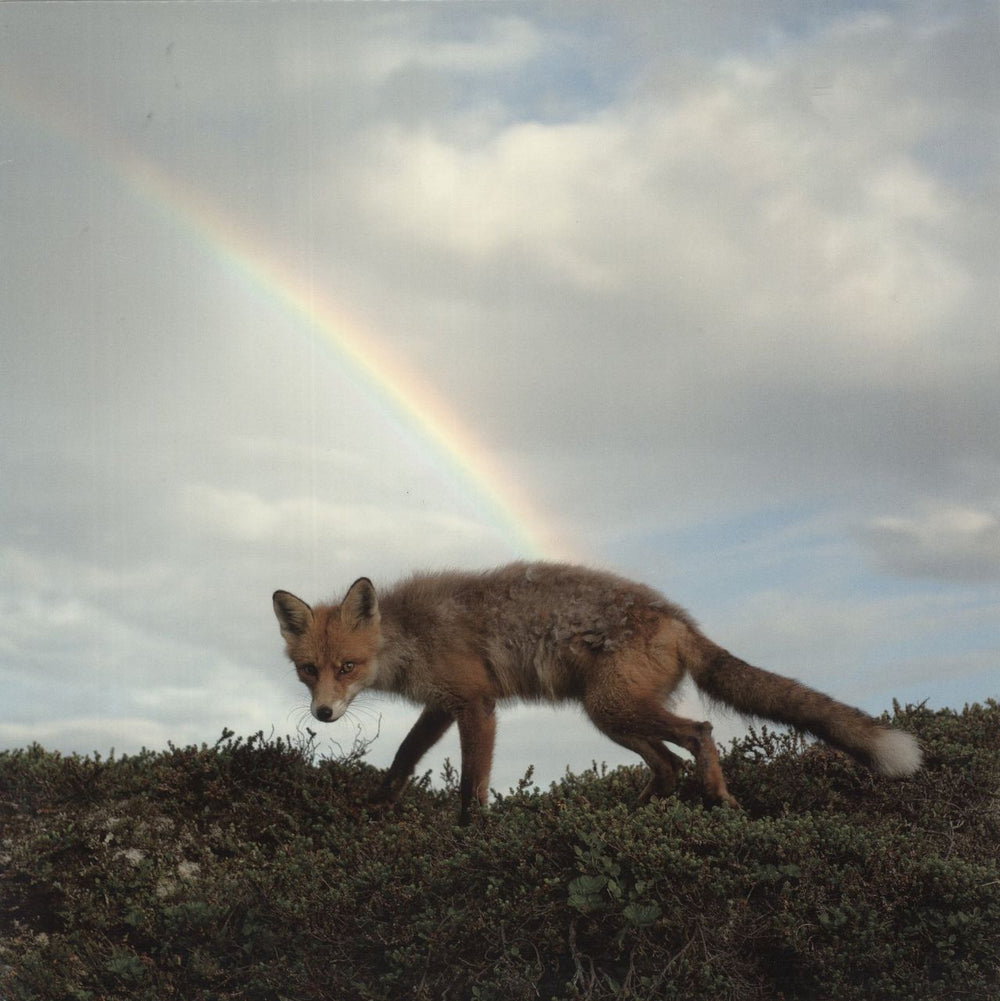 Buck Meek Buck Meek - Green Vinyl US vinyl LP album (LP record) KS030