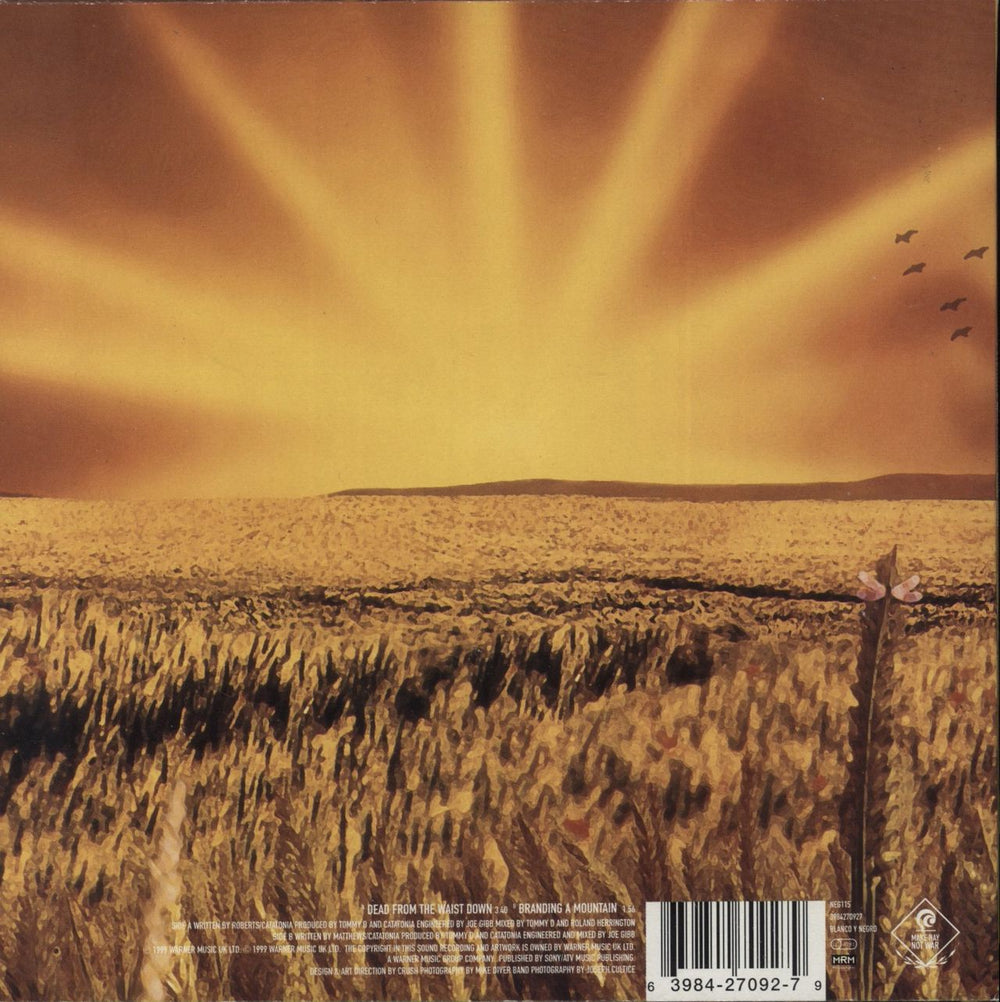 Catatonia Dead From The Waist Down - Yellow Vinyl + Poster UK 7" vinyl single (7 inch record / 45) 639842709279