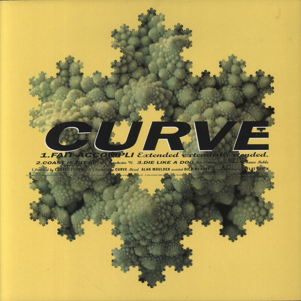 Curve Fait Accompli UK 12" vinyl single (12 inch record / Maxi-single) ANXTT36