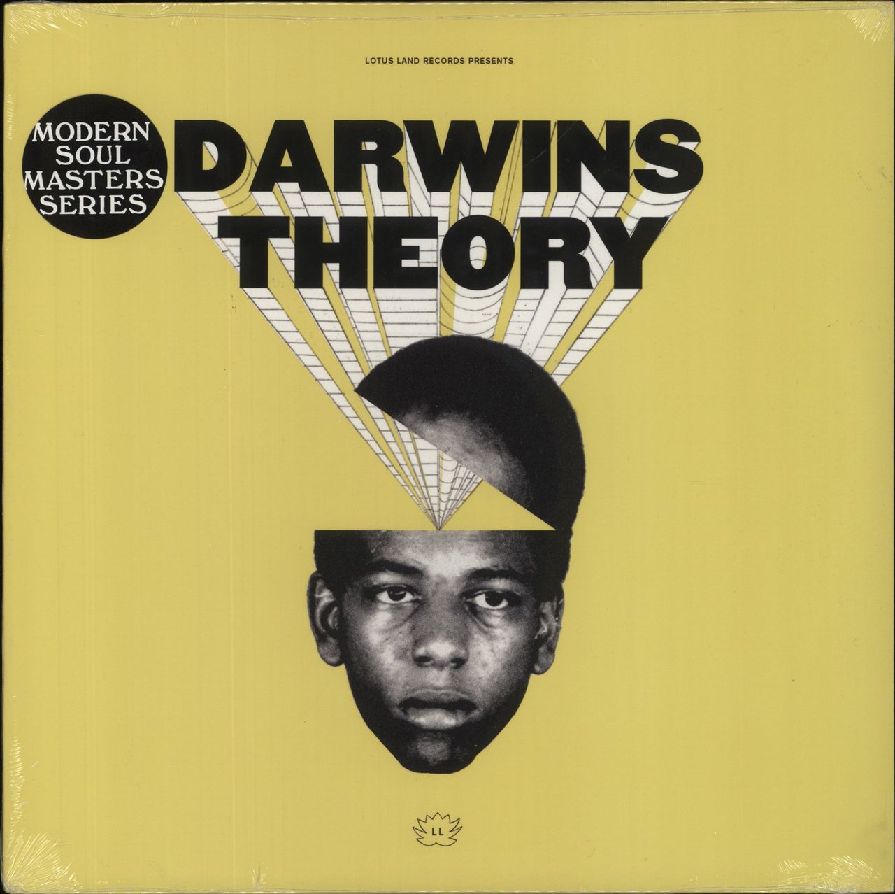 DARWINS THEORY レコード DARWINS THEORY LP レコード