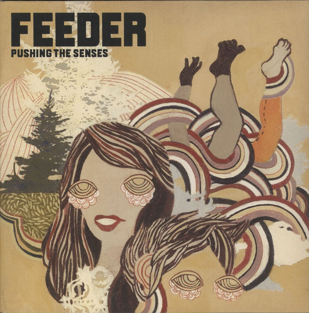 Feeder Pushing The Senses - VG UK vinyl LP album (LP record) ECHLP60