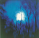 Flying Saucer Attack Further UK vinyl LP album (LP record) WIGLP20