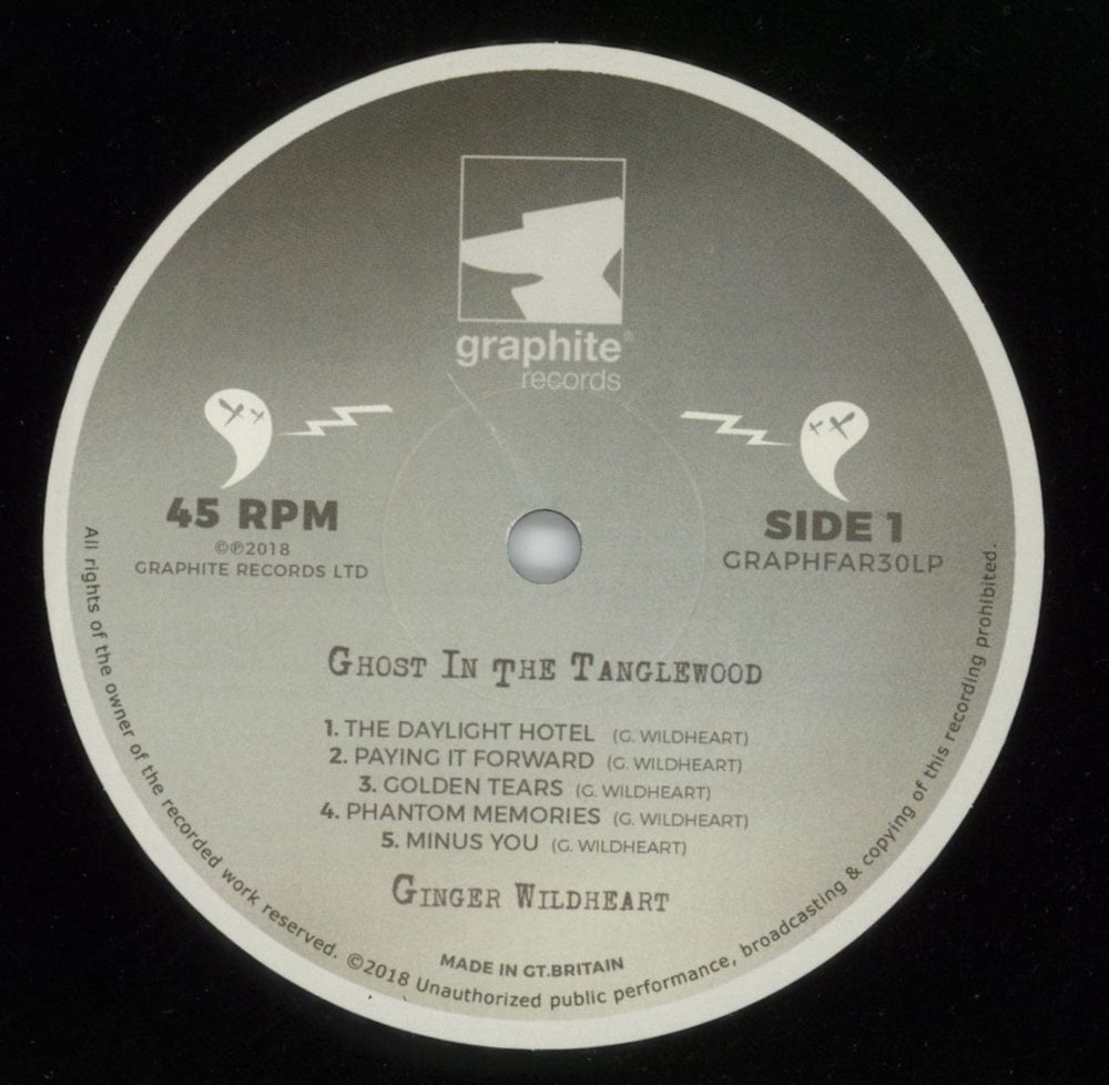 Ginger (Wildhearts) Ghost In The Tanglewood - 180gm UK vinyl LP album (LP record) IGELPGH804801