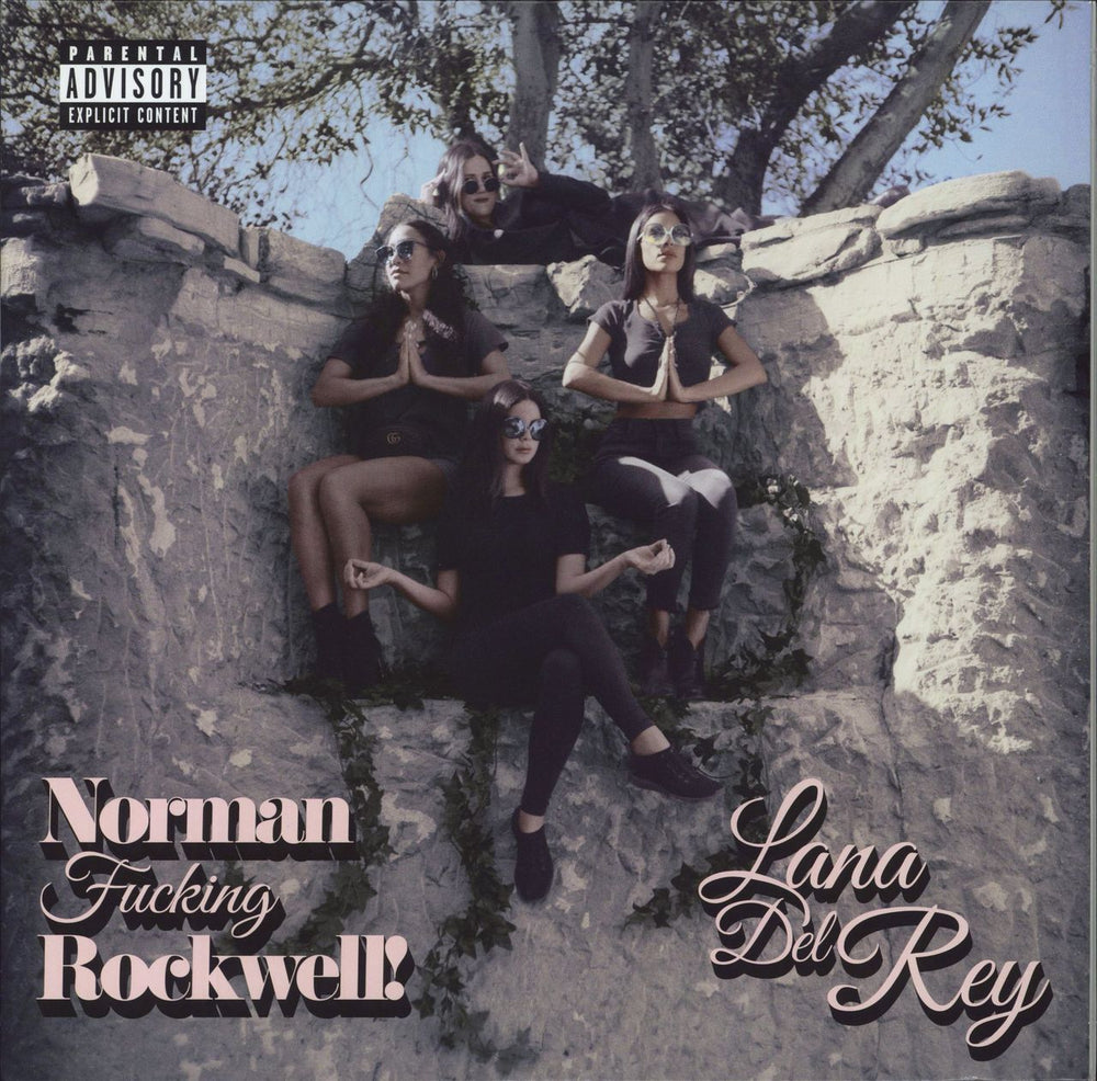 Lana Del Rey Norman F*cking Rockwell! - Pink Vinyl US 2-LP vinyl record set (Double LP Album) B0030880-01