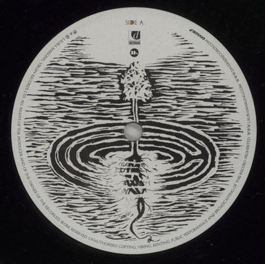 Laura Marling I Speak Because I Can UK vinyl LP album (LP record) LMLLPIS621097