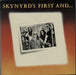 Lynyrd Skynyrd Skynyrd's First ... And Last UK vinyl LP album (LP record) MCL1627