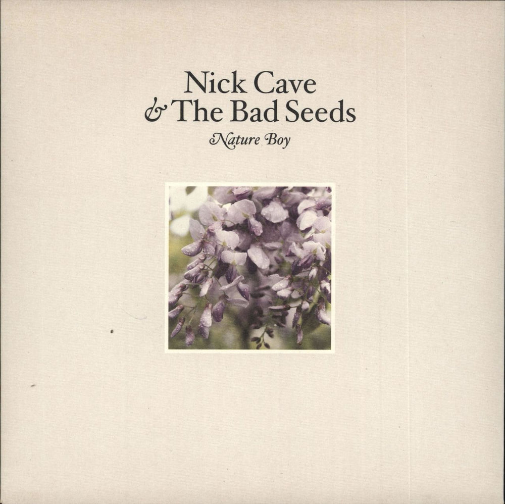 Nick Cave Nature Boy UK 7" vinyl single (7 inch record / 45) MUTE324