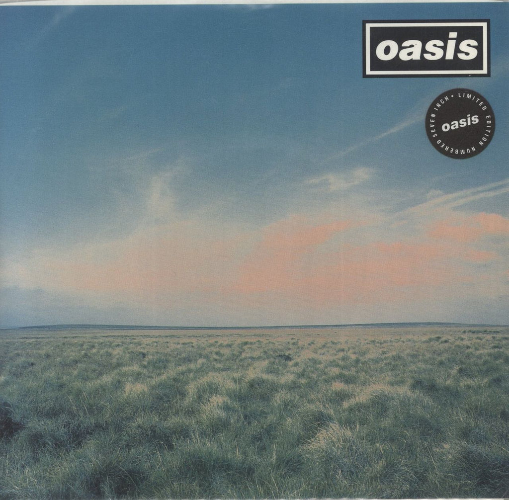 Oasis Whatever 12inch CRE195 UKオリジナル Oasis Whatever - Numbered - EX UK 7
