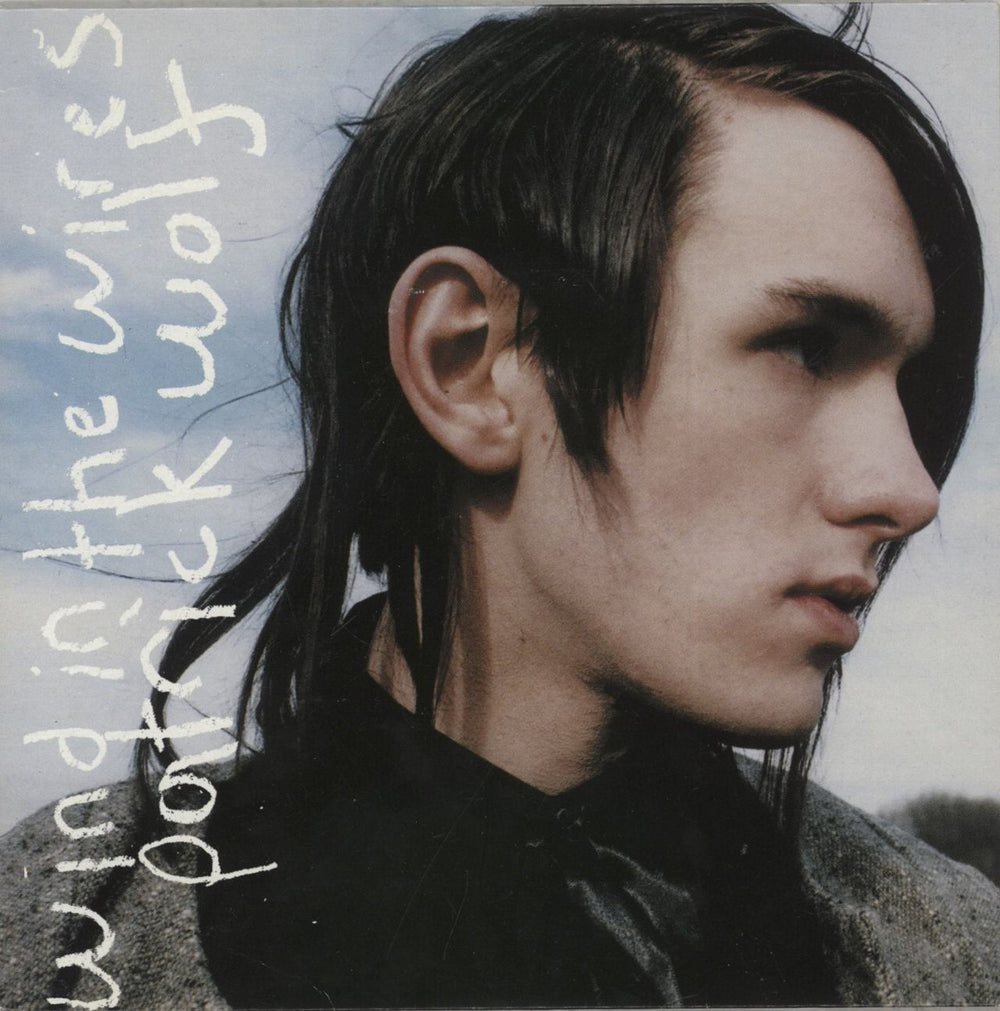 Patrick Wolf Wind In The Wires  German 7" vinyl single (7 inch record / 45) TOM48S