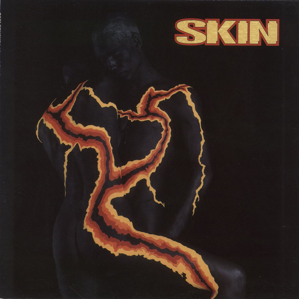 Skin [Rock] Skin UK vinyl LP album (LP record) 828869