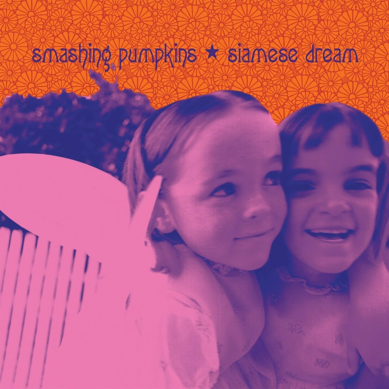 Smashing Pumpkins Siamese Dream VINYL 2 LP purchases Brand New 2022 180 gram RARE