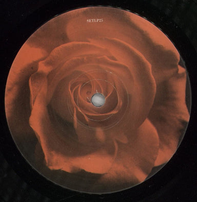 The Divine Comedy Casanova - Mint UK vinyl LP album (LP record) DCMLPCA278461