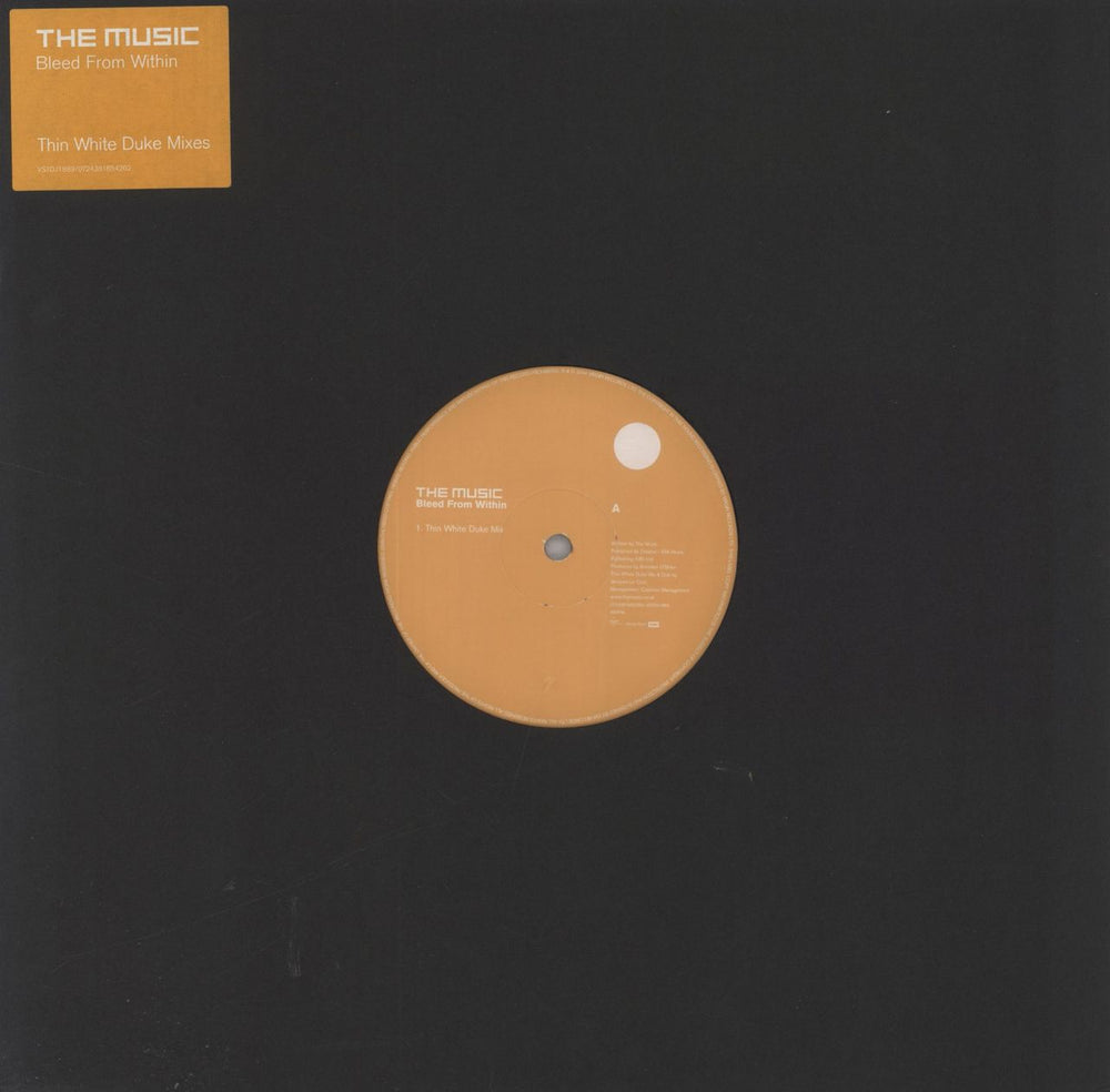 The Music Bleed From Within - Thin White Duke Mix UK Promo 12" vinyl single (12 inch record / Maxi-single) VSTDJ1889