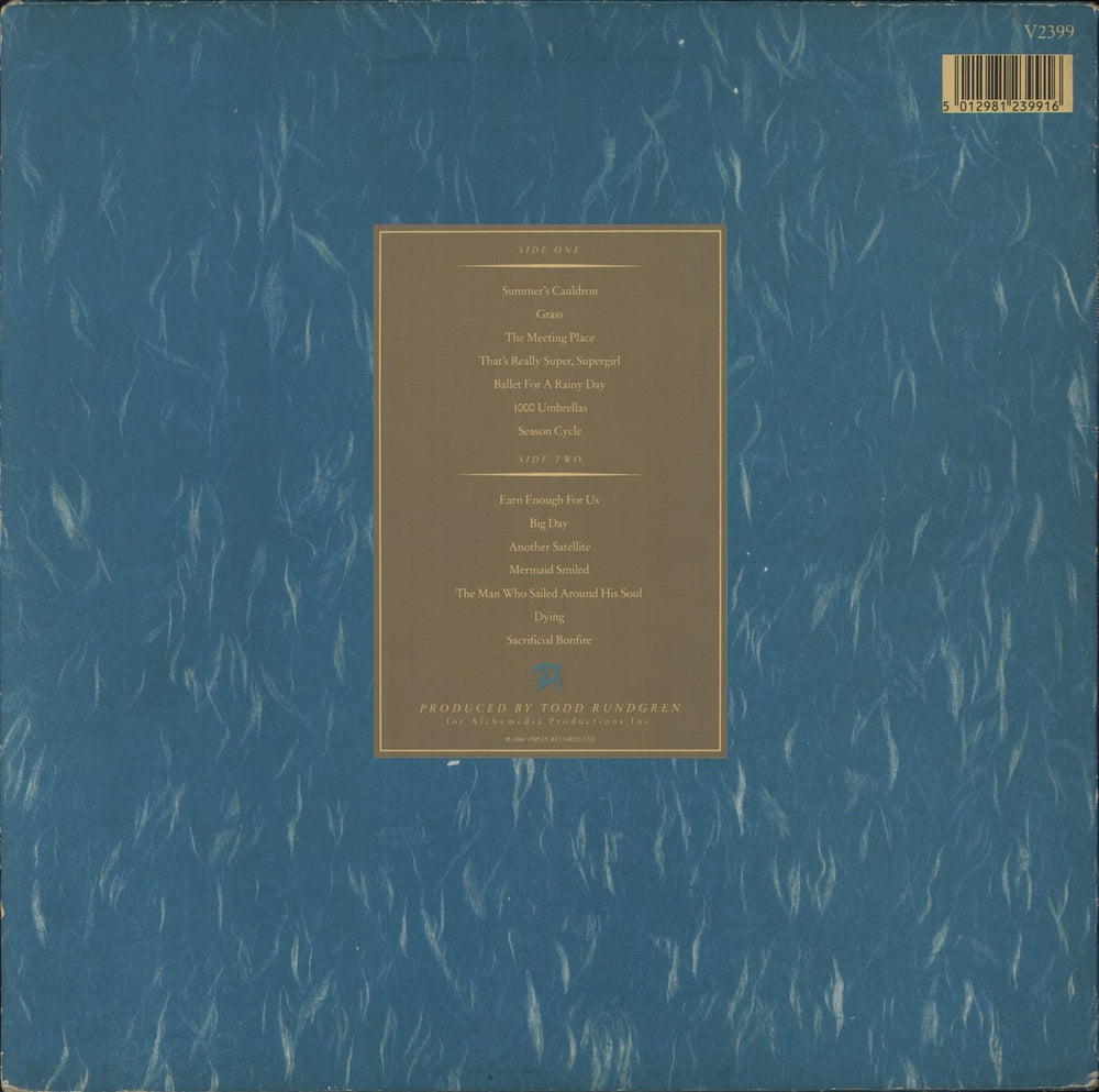 XTC Skylarking - VG UK vinyl LP album (LP record) 5012981239916