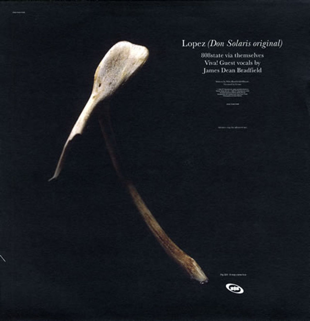 808 State Lopez UK Promo 12" vinyl single (12 inch record / Maxi-single) 80812LO80360