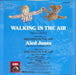 Aled Jones Walking In The Air UK 12" vinyl single (12 inch record / Maxi-single)