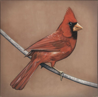 Alexisonfire Old Crows/Young Cardinals - Grey and Red Vinyl Canadian 2-LP vinyl record set (Double LP Album) DAV017