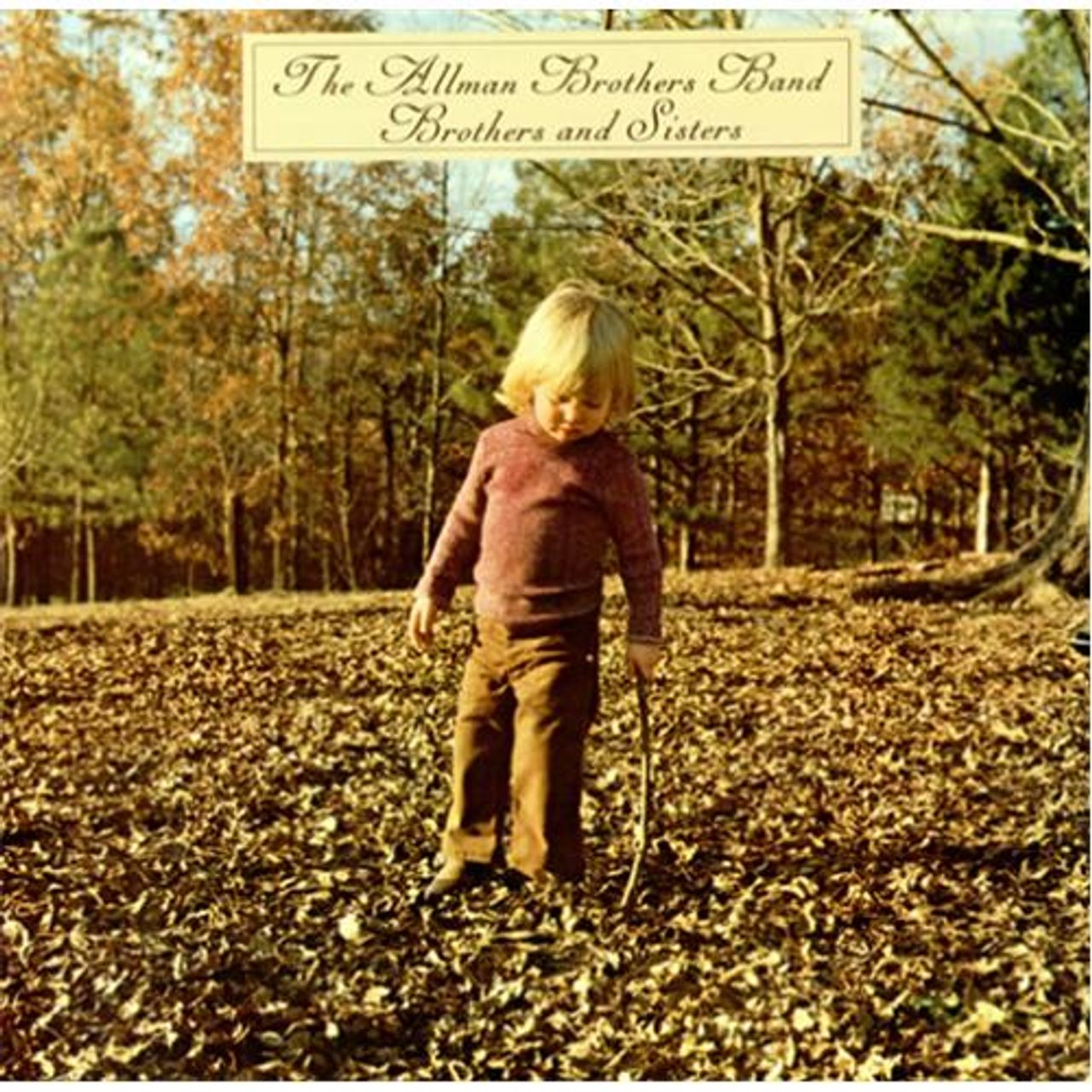 Allman Brothers Band Brothers And Sisters French vinyl LP album (LP record) 47507
