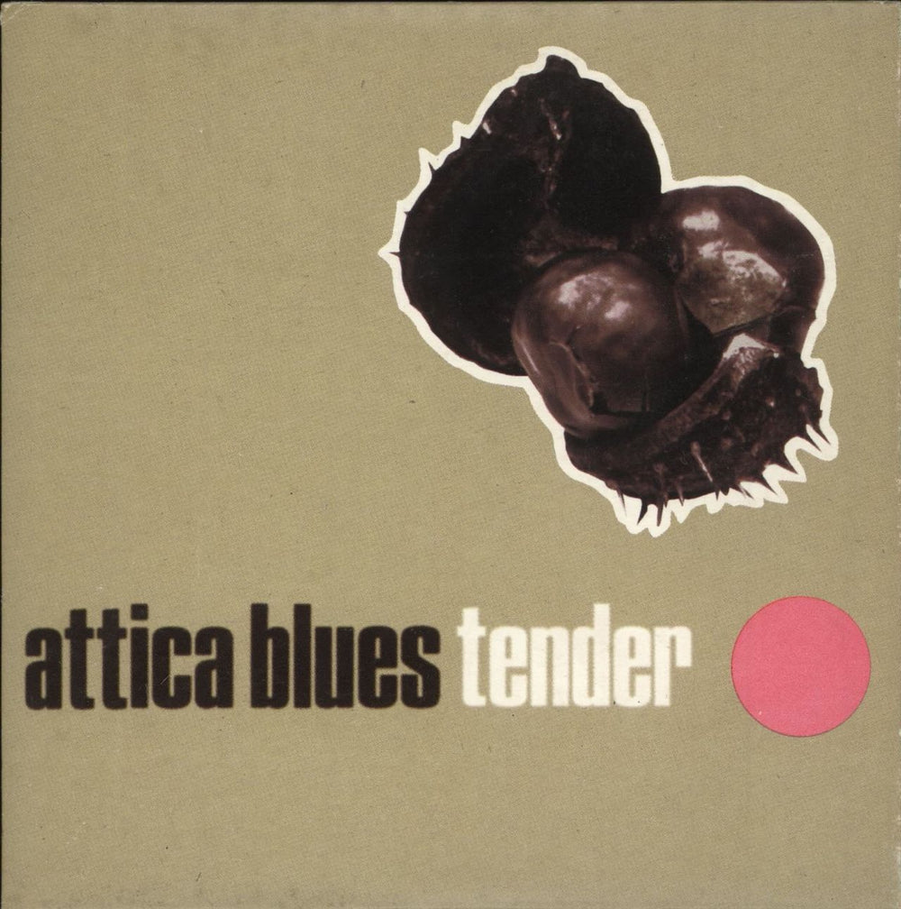 Attica Blues Tender UK CD single (CD5 / 5") MW067CD