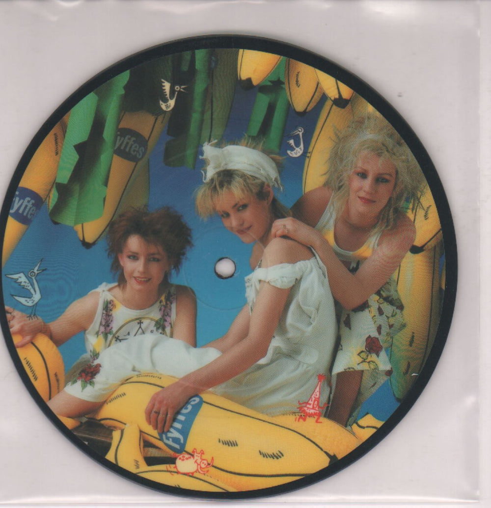 Bananarama Shy Boy UK 7" vinyl picture disc (7 inch picture disc single) NANPD2