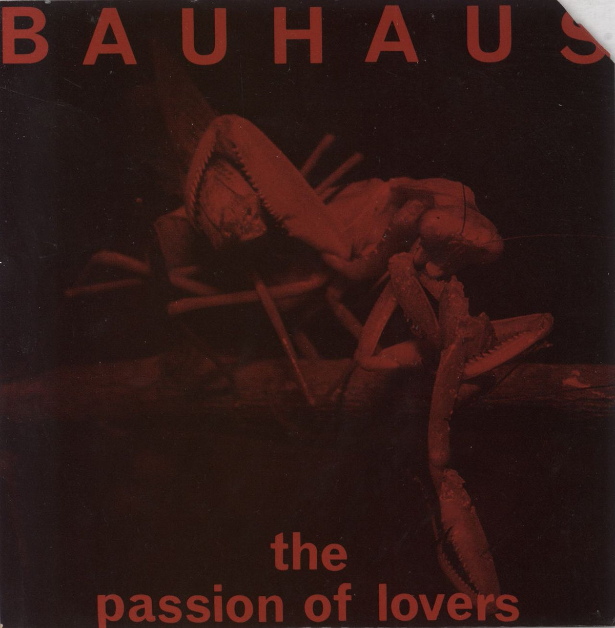 BAUHAUS 暗闇の天使 LPレコード 国内盤 BAUHAUS 暗闇の天使 LPレコード 国内盤