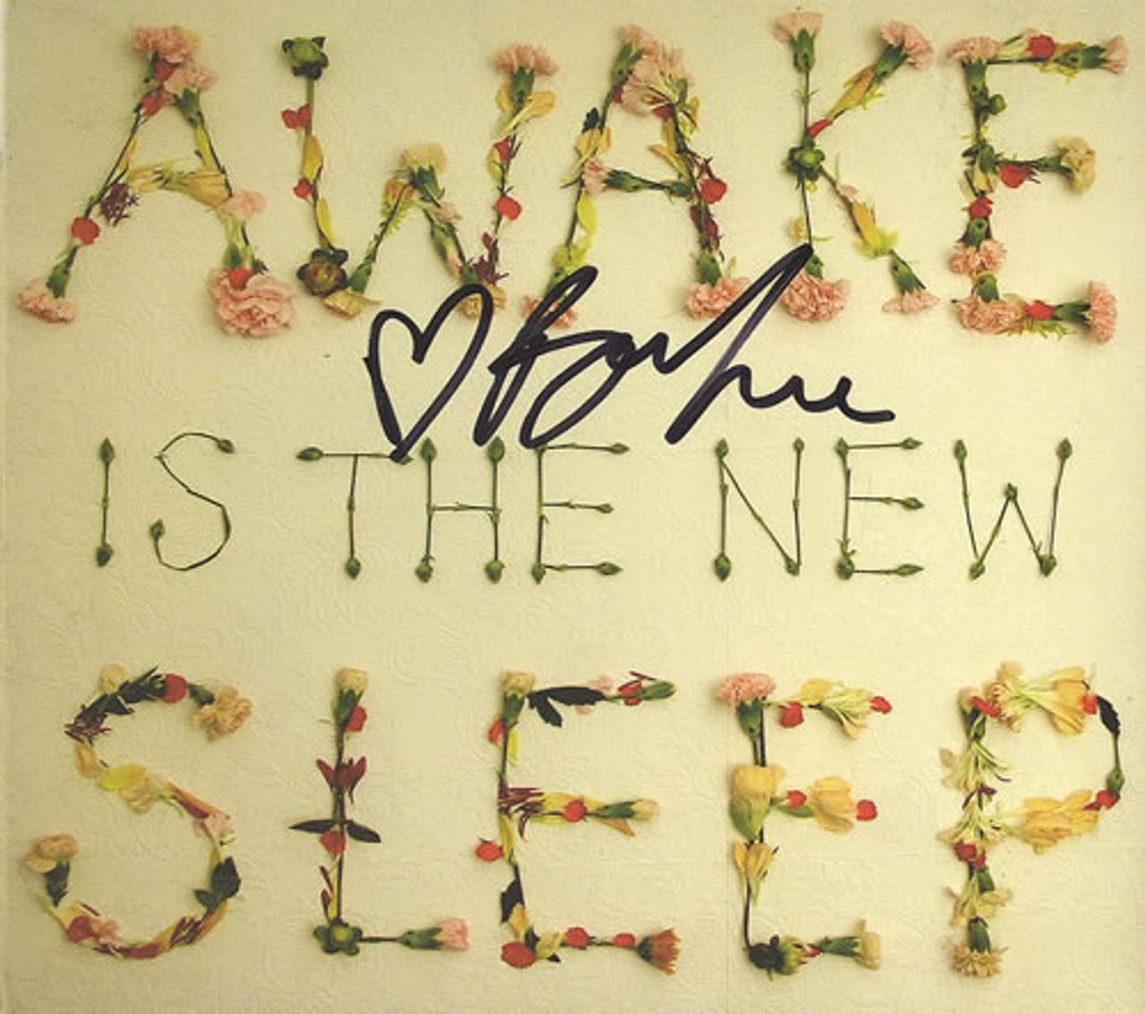Ben Lee Awake Is The New Sleep - Autographed US CD album (CDLP) NW6070