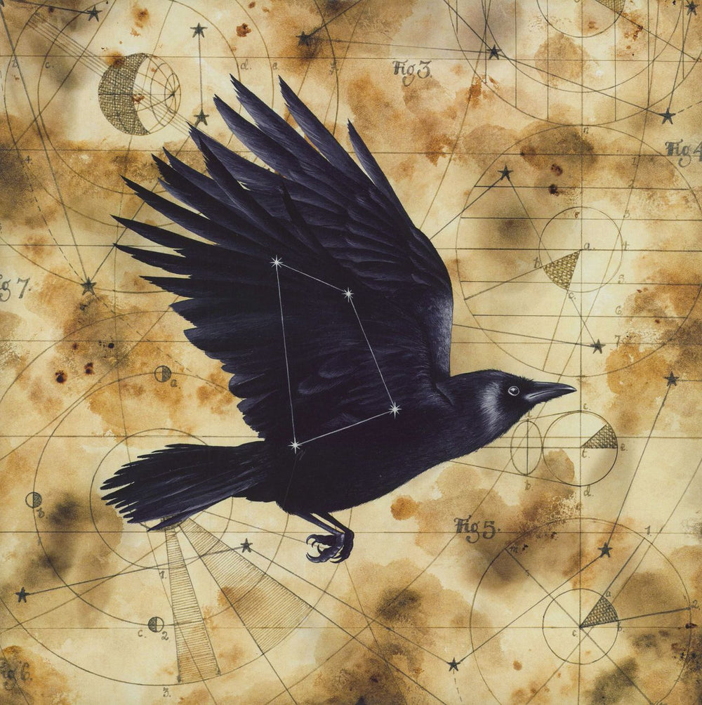 Big Big Train Grimspound UK 2-LP vinyl record set (Double LP Album) PLG050