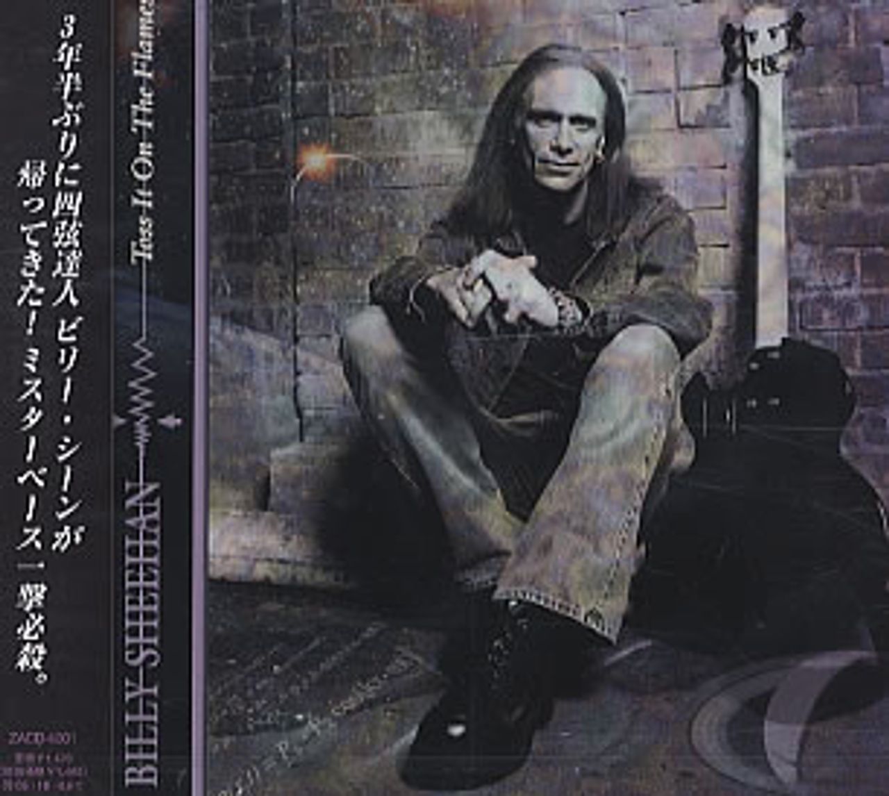 Billy Sheehan Toss It On The Flames Japanese Promo CD single (CD5 / 5") ZACB-4001