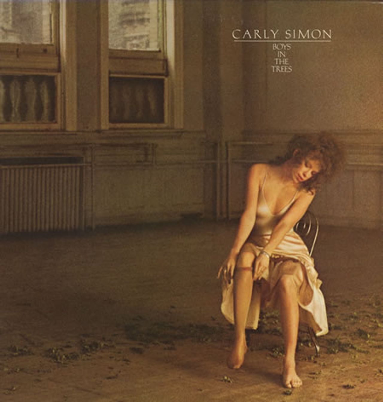 Carly Simon Boys In The Trees US vinyl LP album (LP record) 6E-128