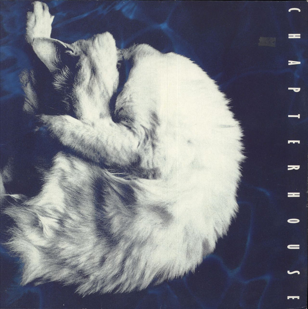 Chapterhouse Whirlpool UK vinyl LP album (LP record) DEDLP001