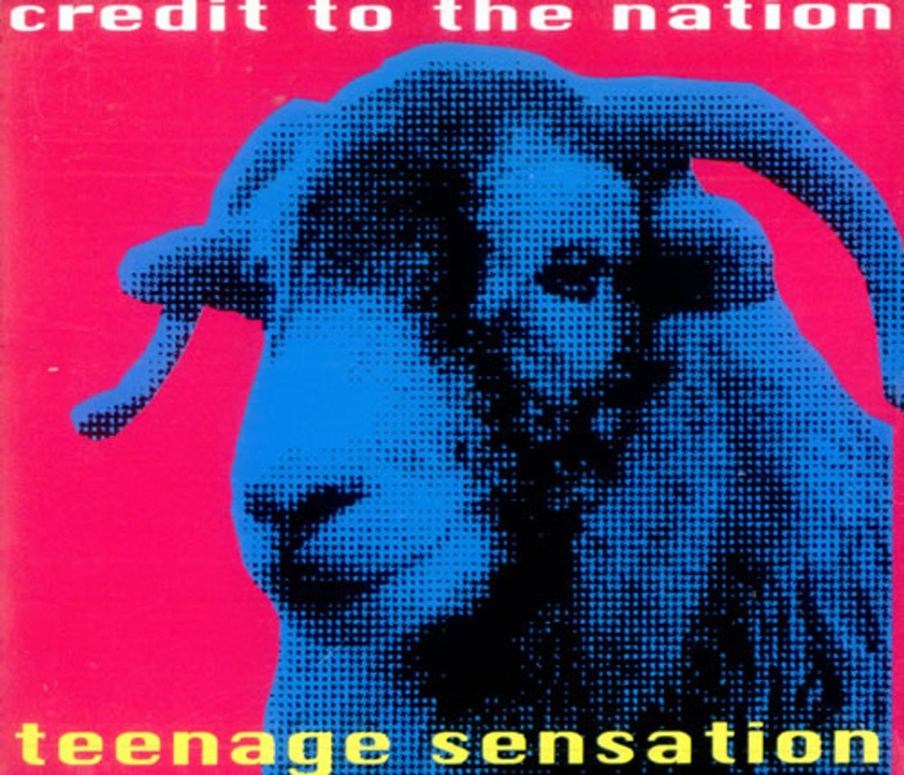 Credit To The Nation Teenage Sensation UK 2 CD album set (Double CD) CBV2CTE519836
