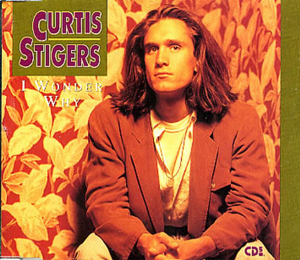 Curtis Stigers I Wonder Why German CD single (CD5 / 5") 664716