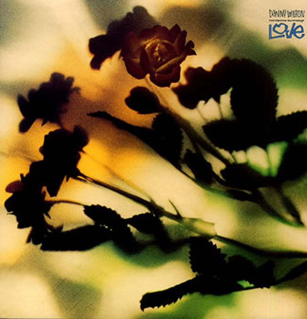 Danny Wilson The Second Summer Of Love UK 12" vinyl single (12 inch record / Maxi-single) VST1186