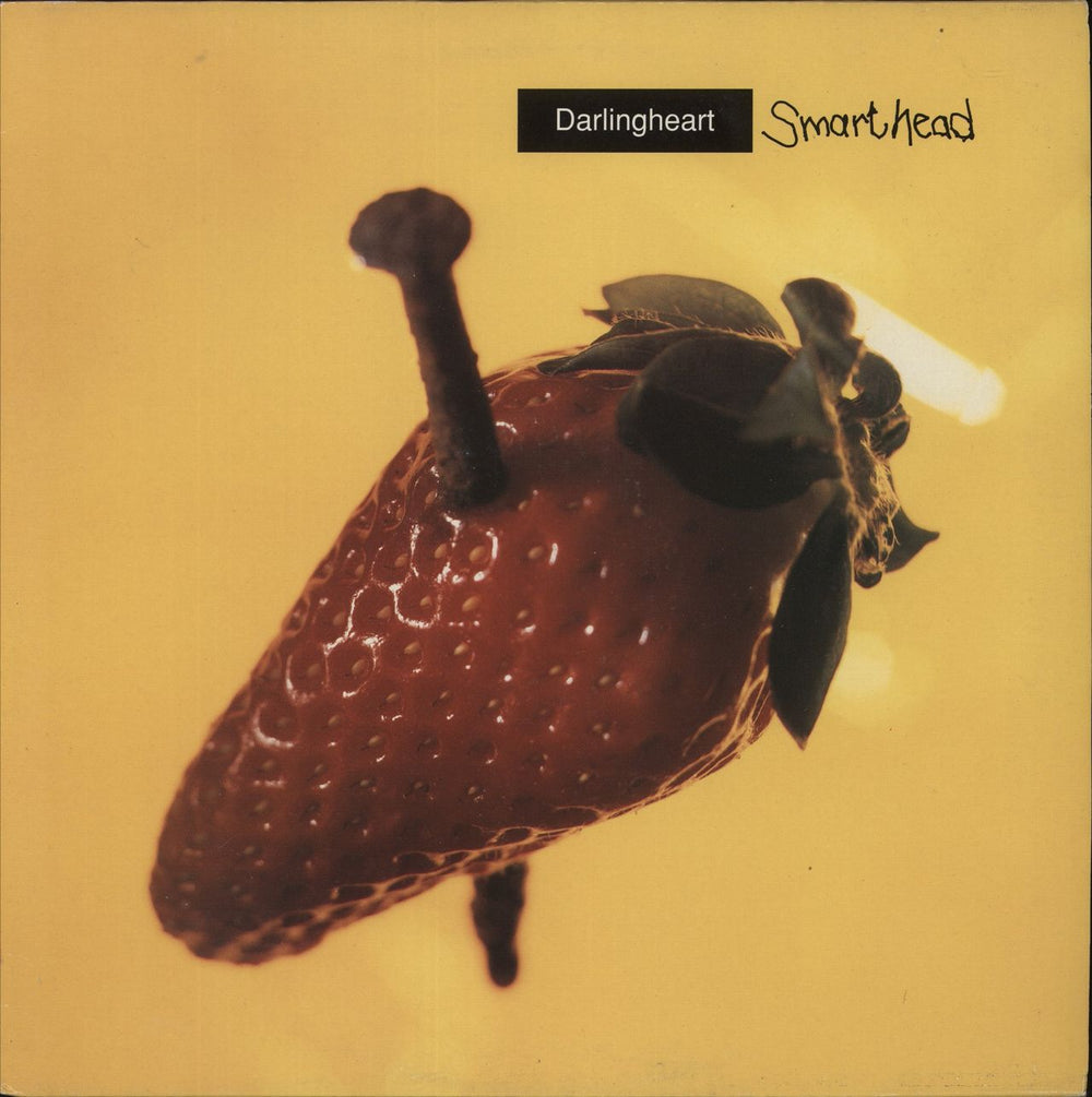 Darlingheart Smarthead UK 12" vinyl single (12 inch record / Maxi-single) DHX2
