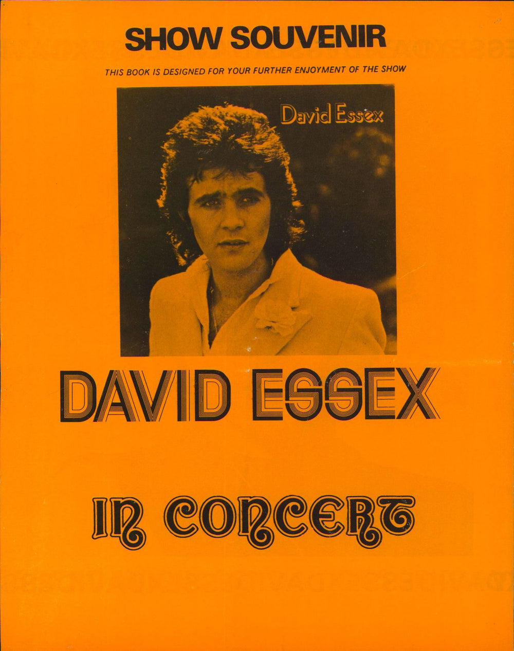 David Essex In Concert 1974 + Ticket Stub UK tour programme