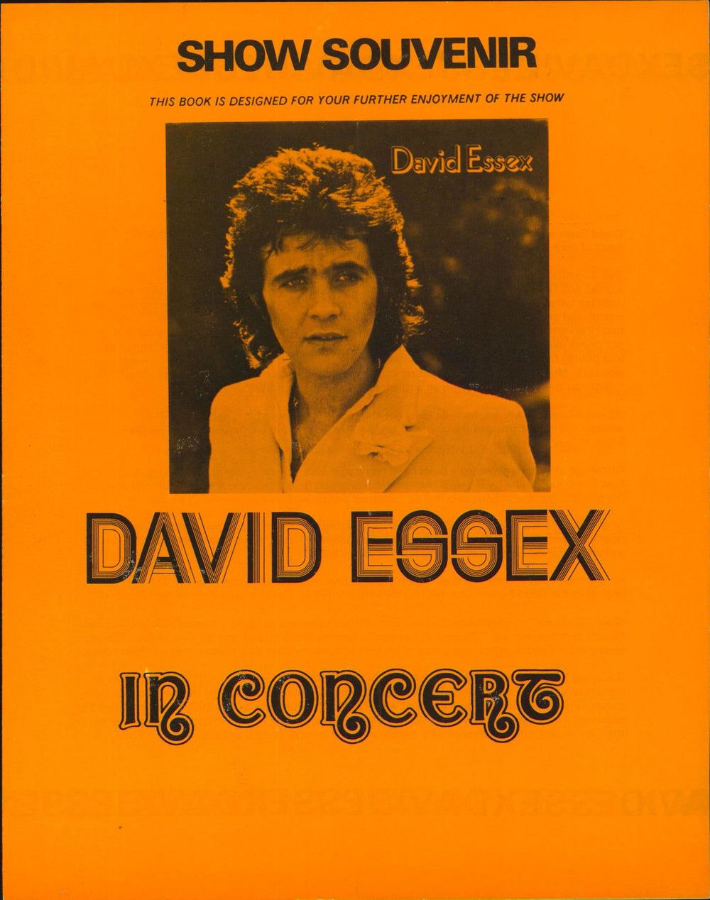 David Essex In Concert 1974 + Ticket Stub UK tour programme PROGRAMME & TICKET