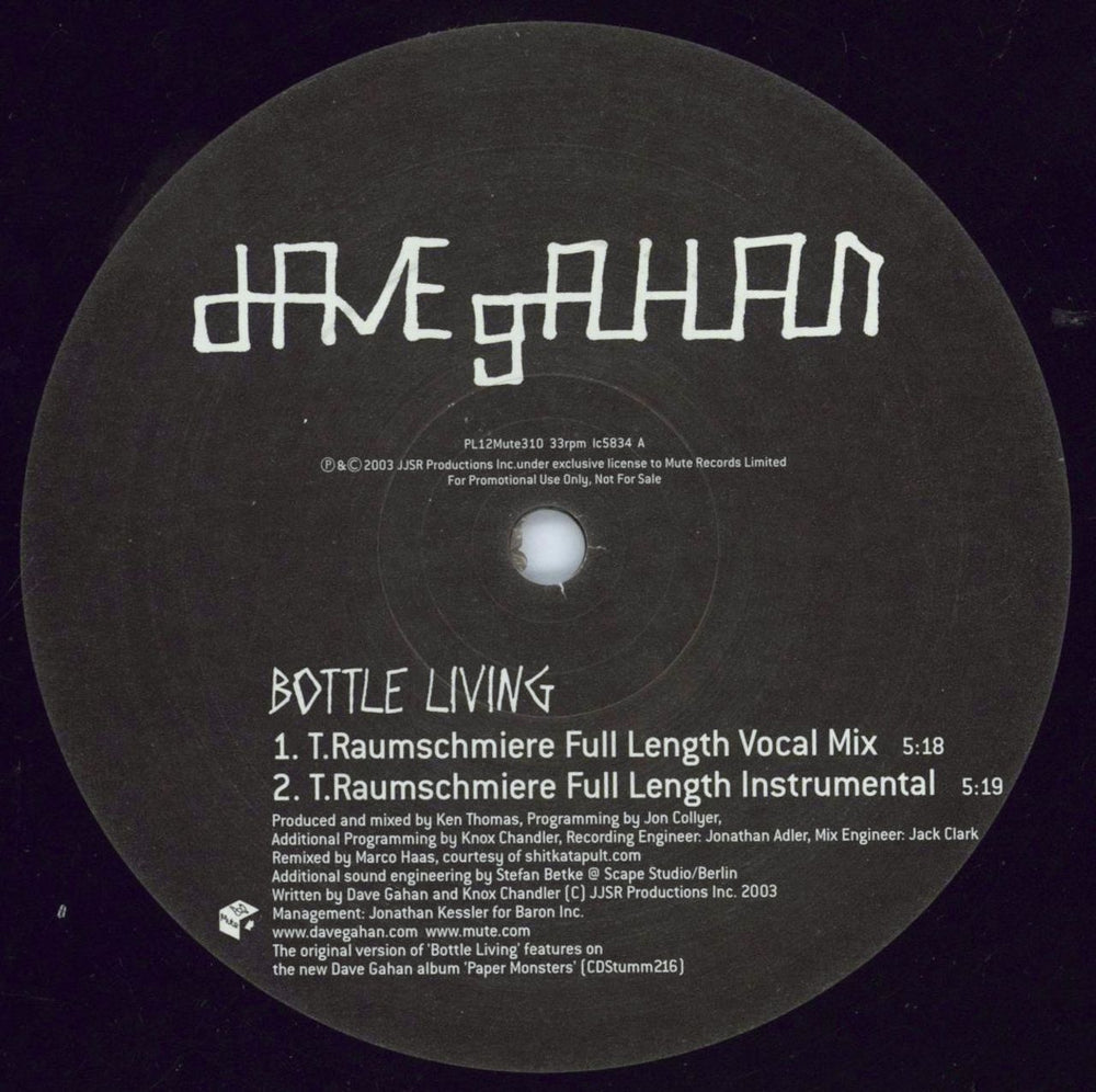 David Gahan Bottle Living UK Promo 12" vinyl single (12 inch record / Maxi-single) DGN12BO263586