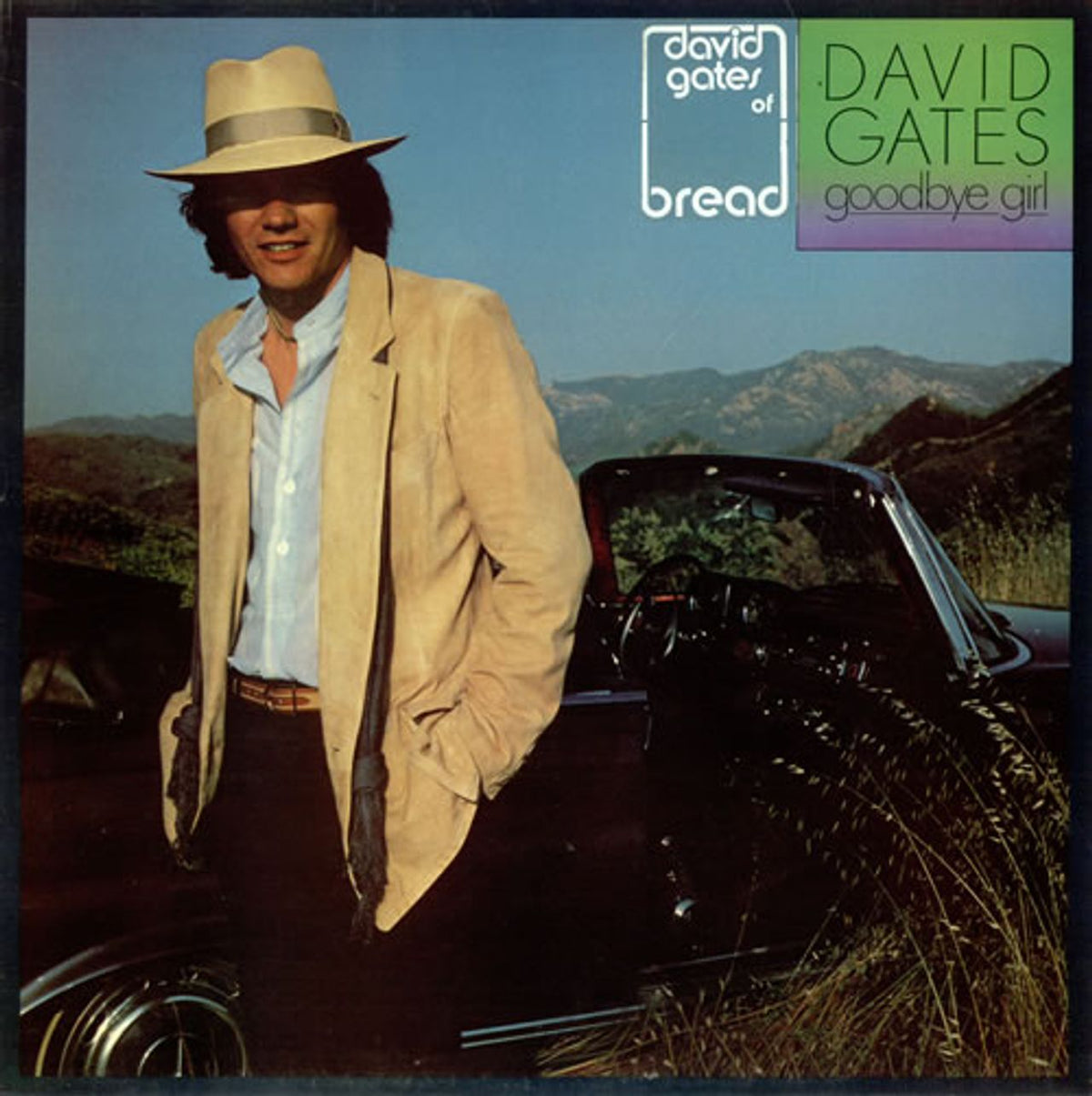 David Gates - Goodbye Girl Vinyl LP 1978 top