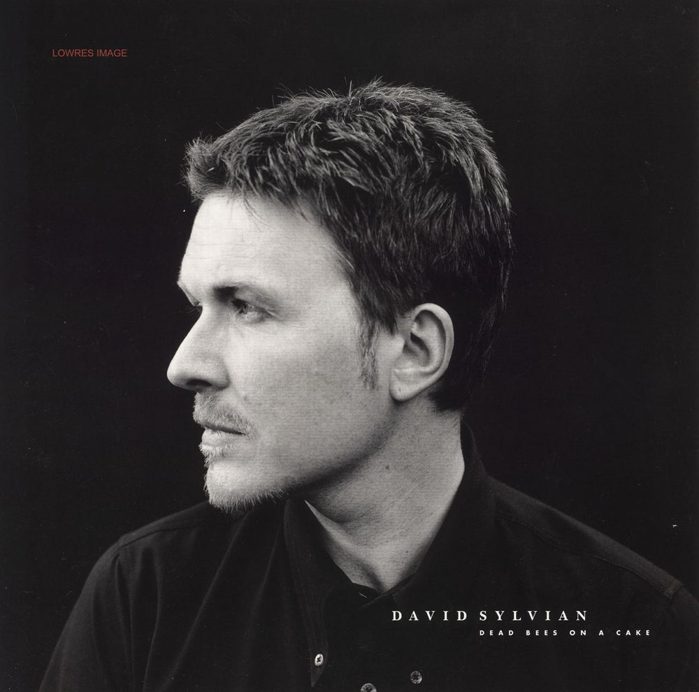 David Sylvian Dead Bees On A Cake - Misprinted Sleeve UK 2-LP vinyl record set (Double LP Album) 671524-3